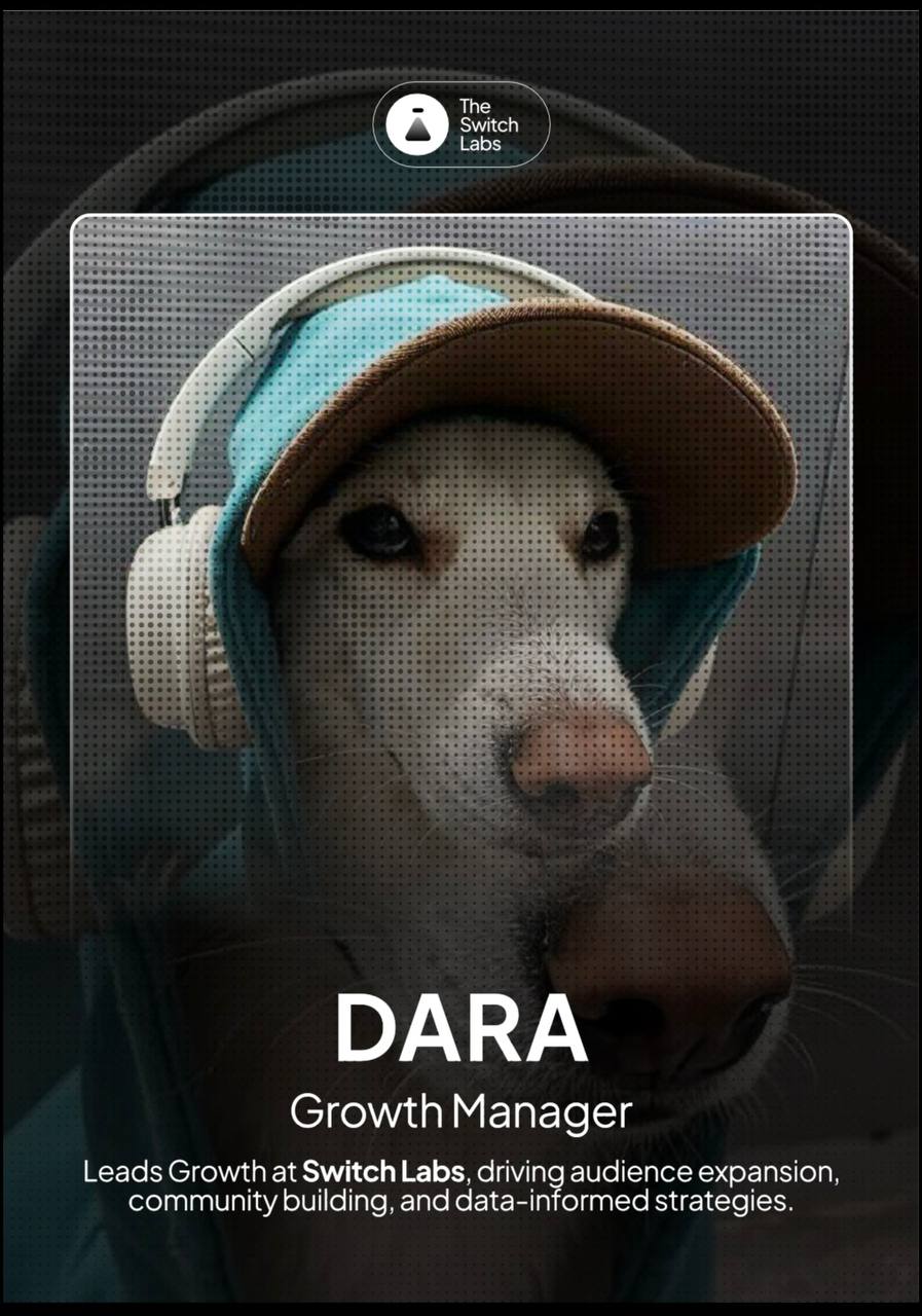Team Member